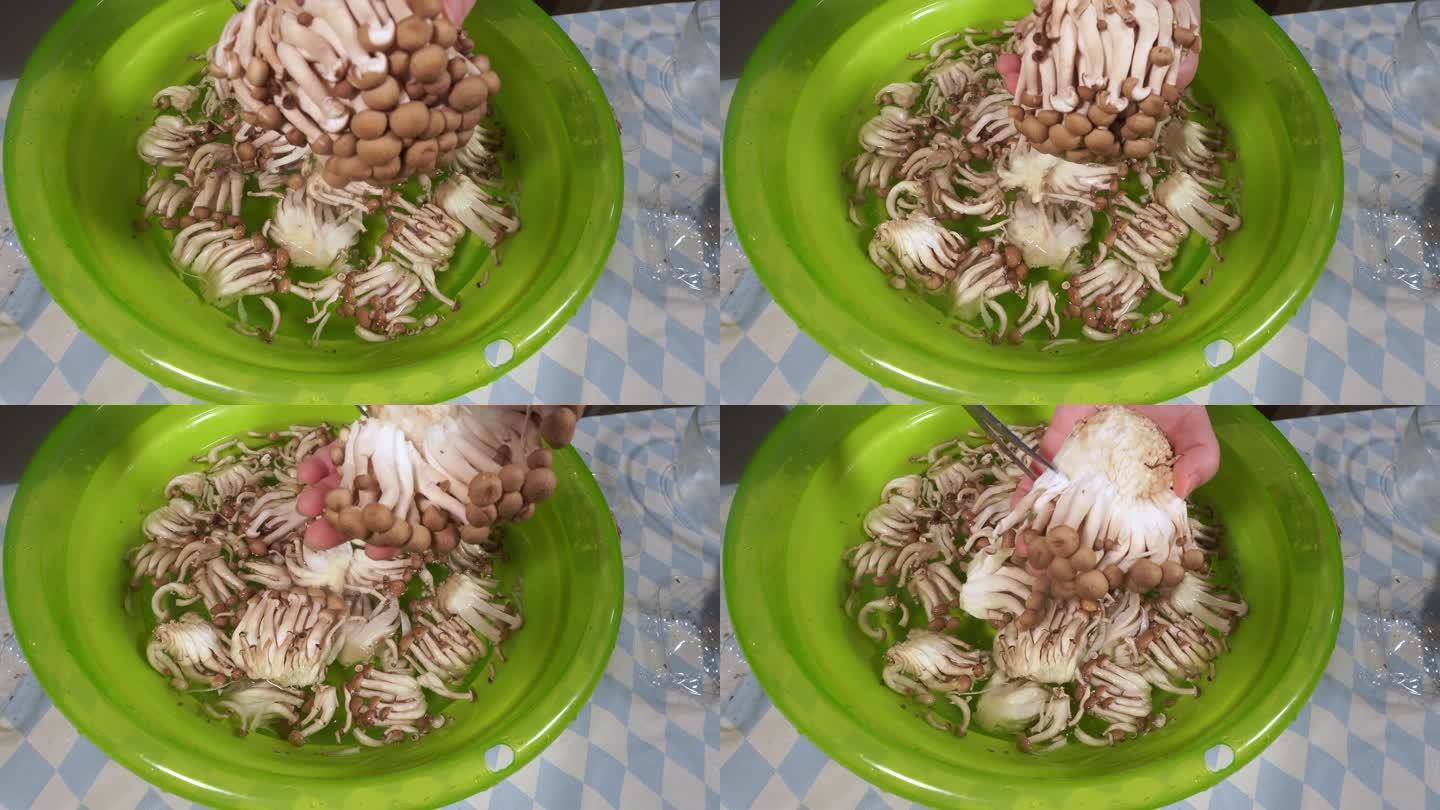 蟹味菇海鲜菇去根 (1)