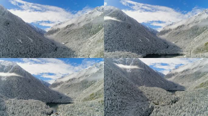 航拍木格措康定情歌风景区雪景雾凇树挂