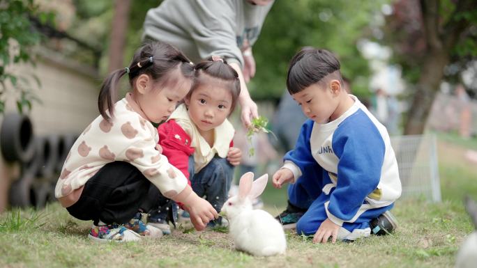 小朋友和兔子
