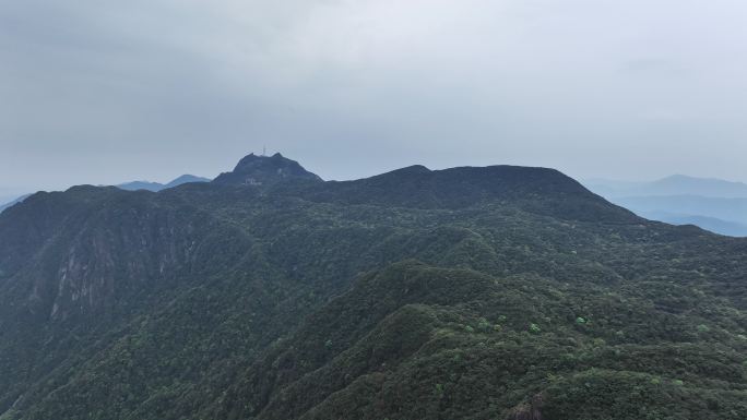 早晨桂林兴安华南第一峰猫儿山上的云和雾