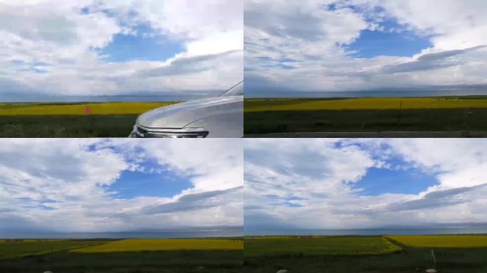 青海湖油菜花风景