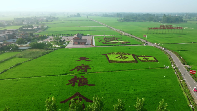 乡村振兴天府粮仓航拍