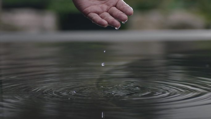 高品质生活意境 怡然自得 闲情雅致 竹影