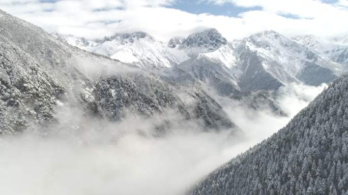 航拍木格措康定情歌风景区雪山雾凇美景