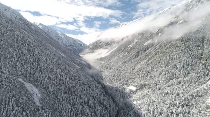 航拍木格措康定情歌风景区雪景雾凇心形湖