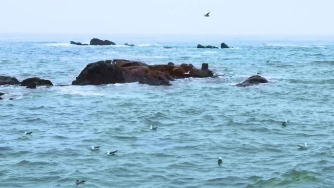 青岛 雕塑园 大海涨潮 惊涛骇浪4K素材