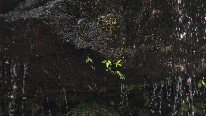 蜀南竹海忘忧谷彩虹瀑布石壁水帘