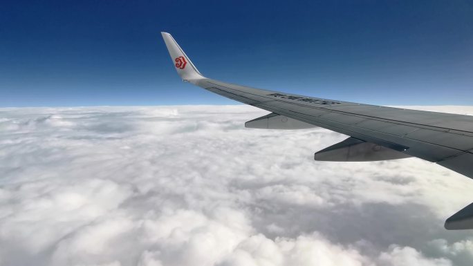 飞机行驶过程中飞机上乘客 乘客 旅客