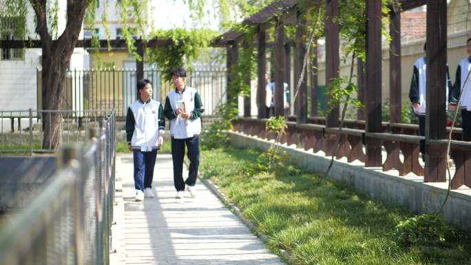 4K校园生活学生学习交流 湖边柳树