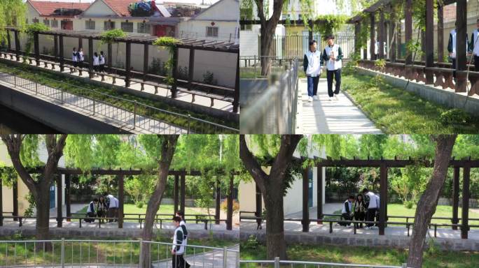 4K校园生活学生学习交流 湖边柳树