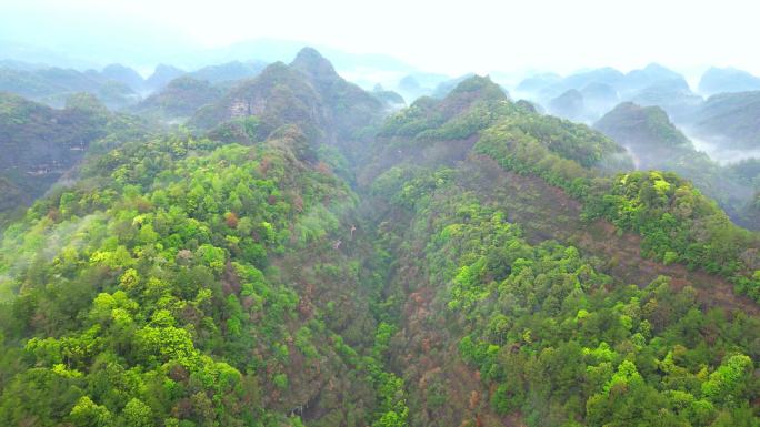 山，高山，山景