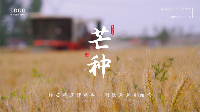 【原创拍摄】芒种水稻麦田节气海报