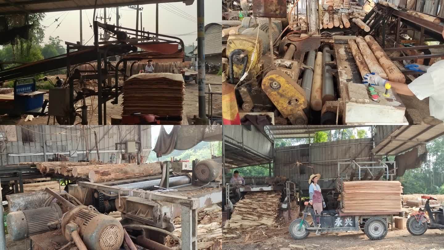 速丰林木材加工家具原材料木材切割生产过程