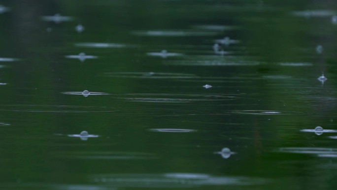 雨滴落在水面