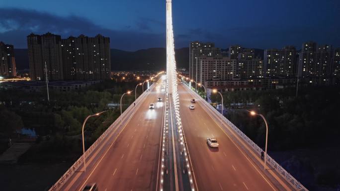 城市 夜景 拉力桥