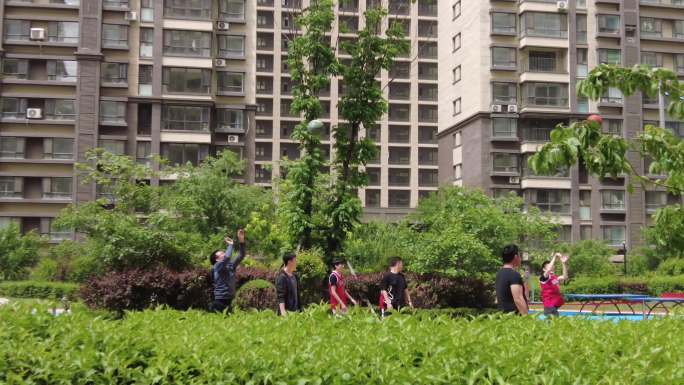小区街景绿化环境篮球赛活动亲子放学树叶