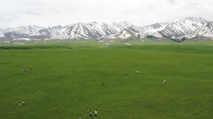 航拍新疆伊犁那拉提空中草原风光