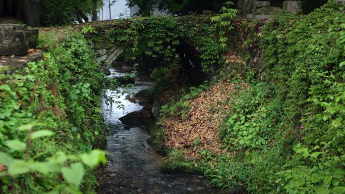 【正版素材】大自然石桥小溪流水