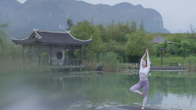森林氧吧 户外瑜伽 瑜伽运动城市女性
