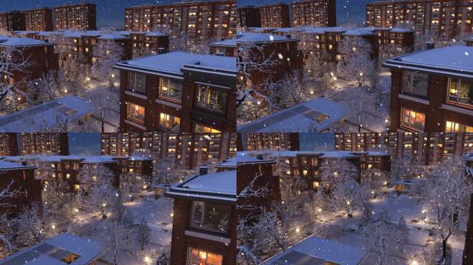 欣嘉园小区鸟瞰 雪景夜景圣诞节雪松积雪