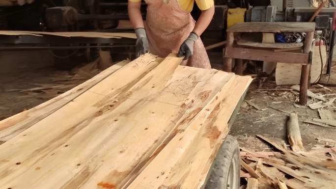 速丰林树材加工家具原材料木板材料生产过程