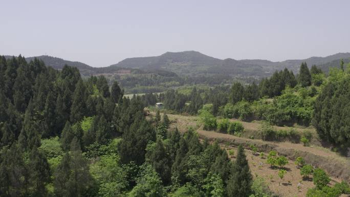 航拍四川盆地农村丨HLG原素材