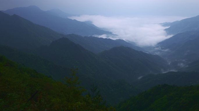 【正版素材】云海自然山林