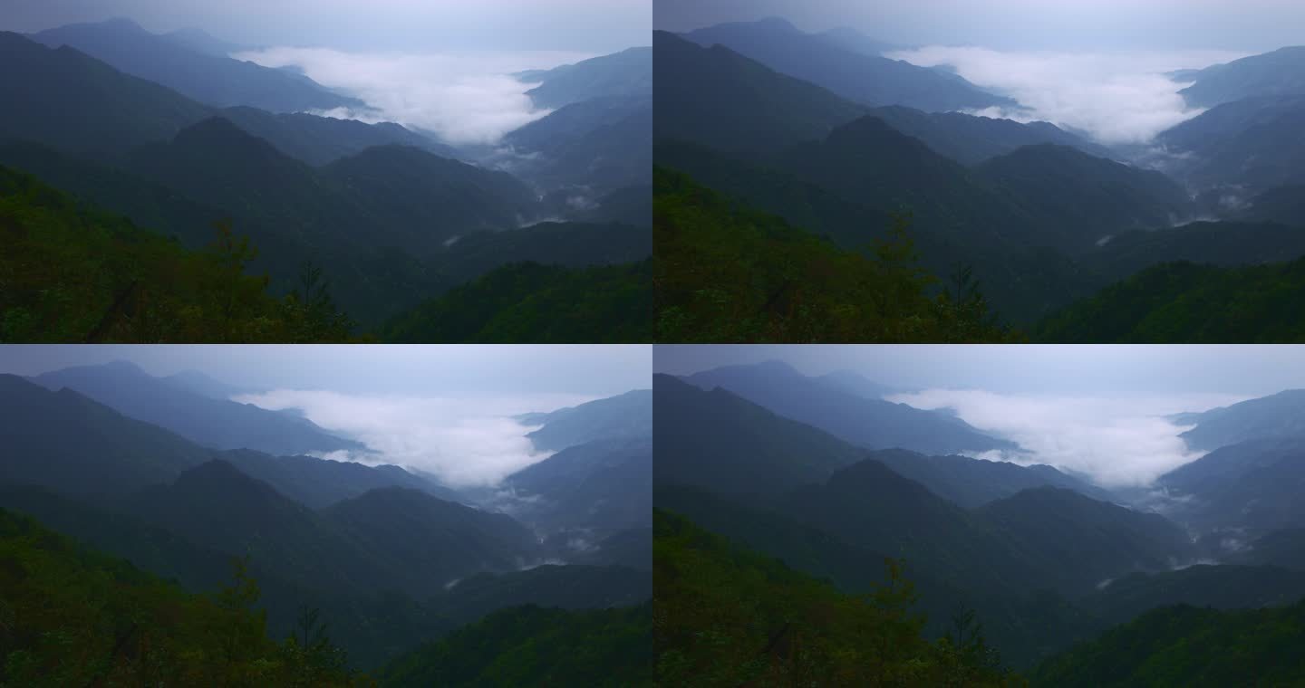 【正版素材】云海自然山林
