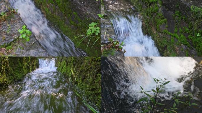 问渠哪得清如许清澈泉水山泉水流动青苔苔藓