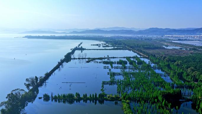 滇池湿地风光