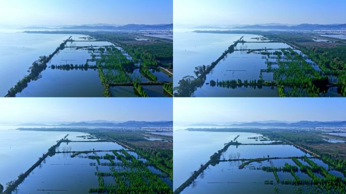 滇池湿地风光