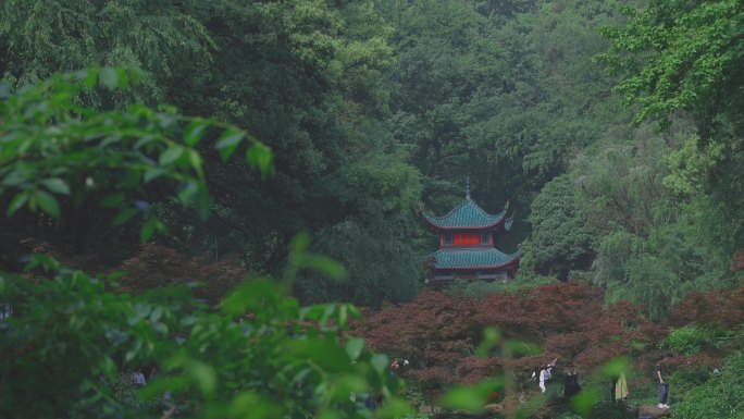 爱晚亭的雨和雨过天晴