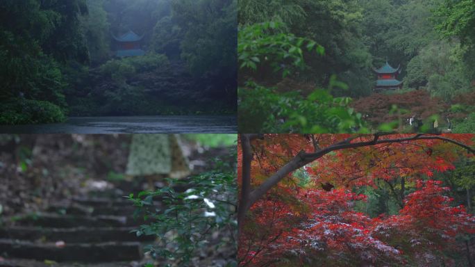 爱晚亭的雨和雨过天晴