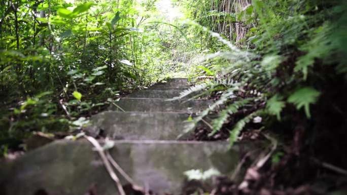 小路蜿蜒曲折山间小路石板小路曲折小路