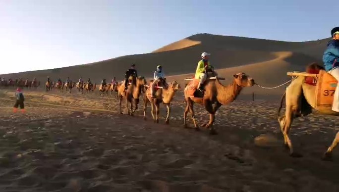 游客骑骆驼
