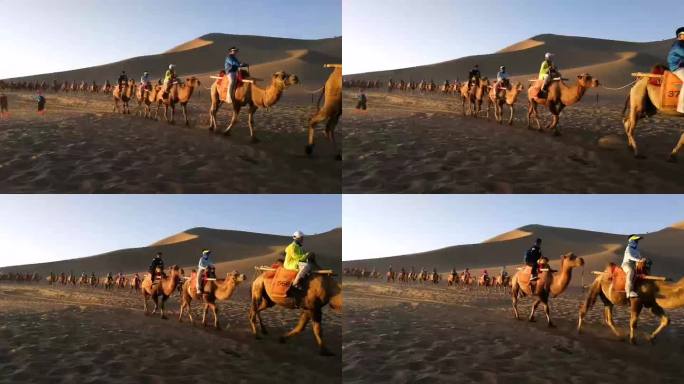 游客骑骆驼