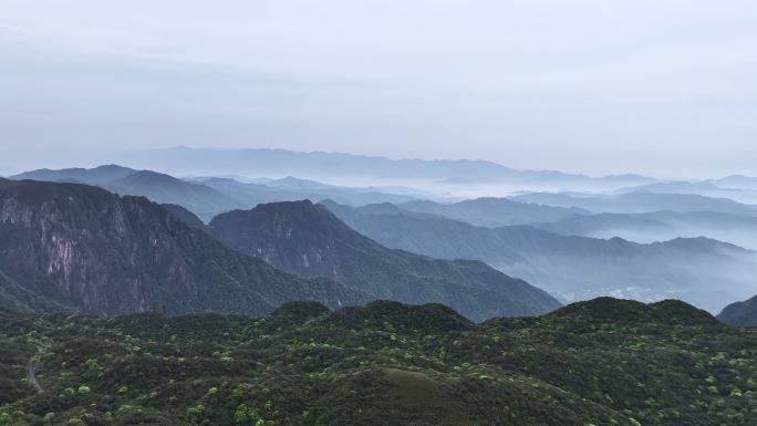 早晨桂林兴安华南第一峰猫儿山上的云和雾