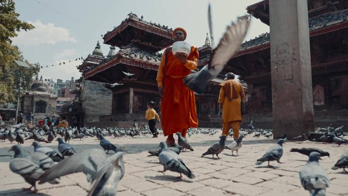 尼泊尔杜巴广场鸽子僧侣