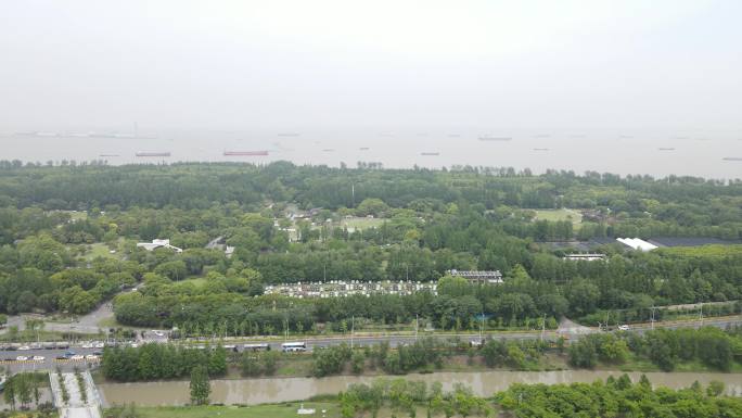 上海滨江森林公园4K原素材