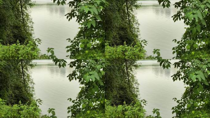 风景湖面