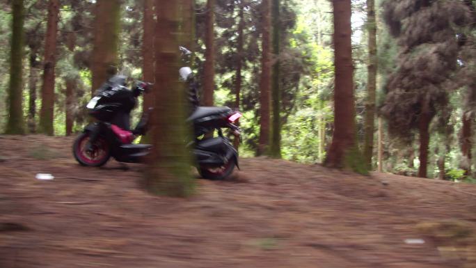 摩托车行驶在漂亮的森林之中