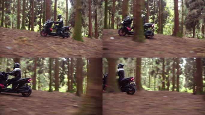 摩托车行驶在漂亮的森林之中