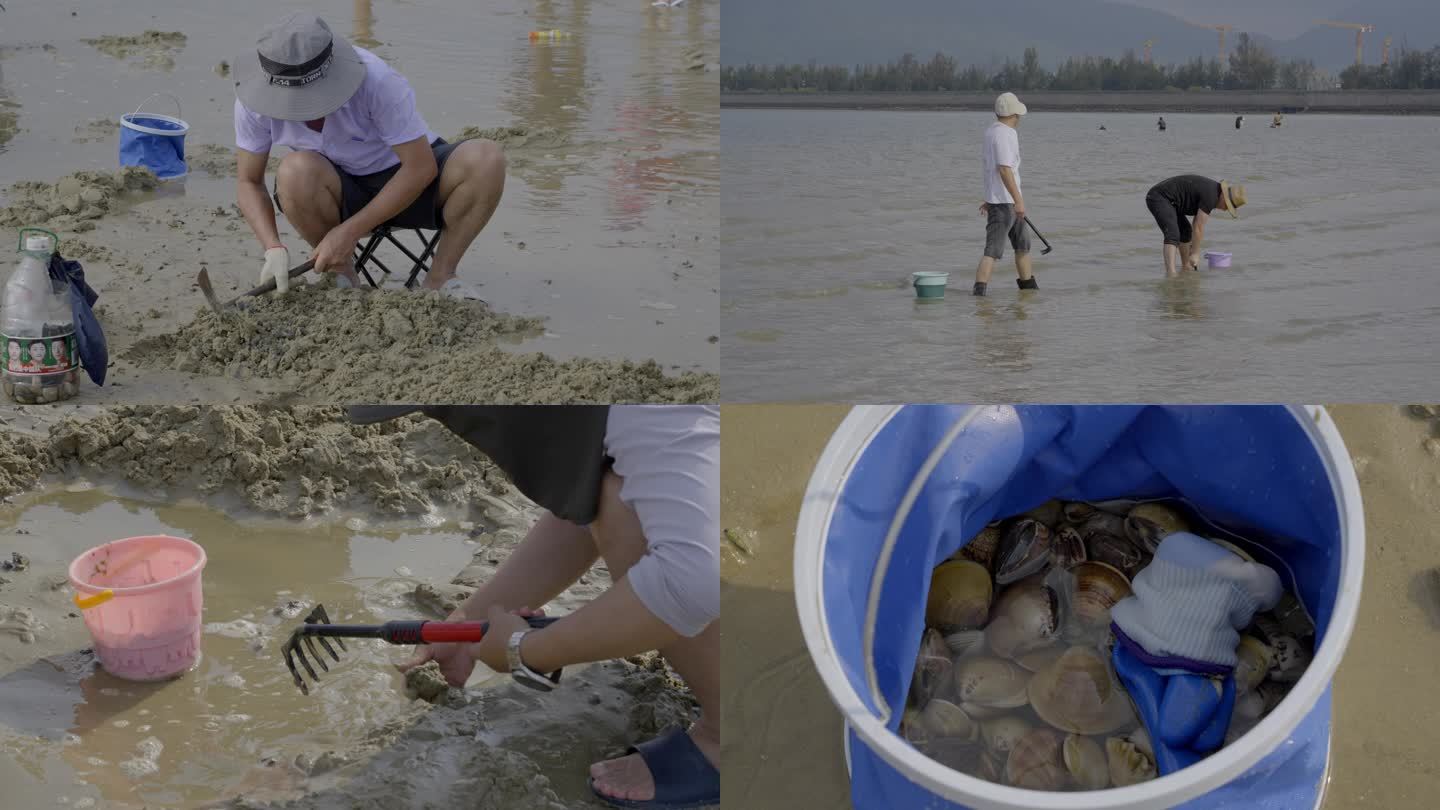 广东深圳大鹏半岛教场尾沙滩赶海