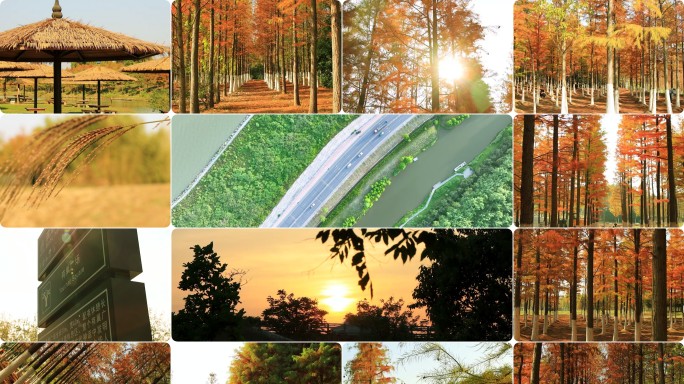 合肥巢湖-滨湖国家森林公园-阳光森林湖水