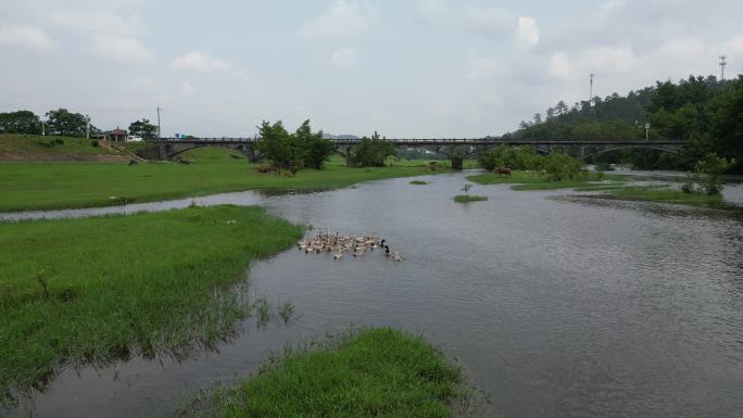 乡村河道风光  远离城市喧嚣