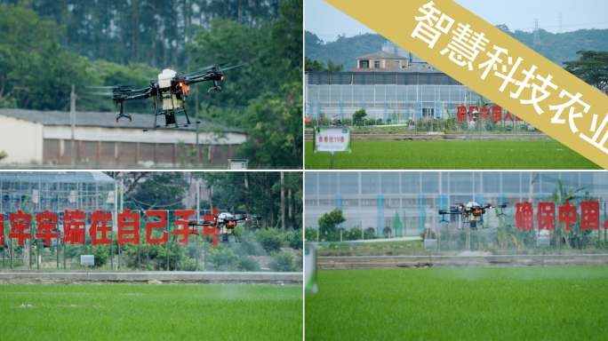 现代农业 无人机喷洒农药乡村振兴科技强国