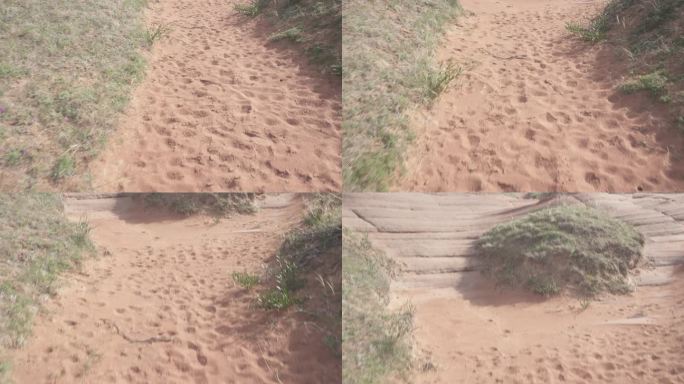 丹霞地貌羊脚印