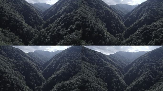 哀牢山