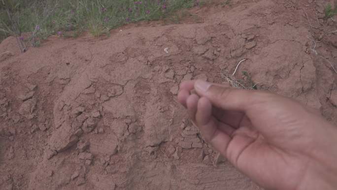 丹霞地貌肌理的沙土