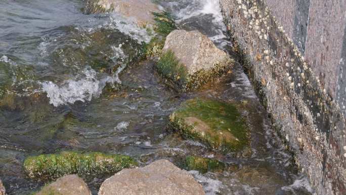 海水冲刷着海岸 能看到青苔